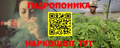 ПСИЛОЦИБИНОВЫЕ ГРИБЫ Новозыбков