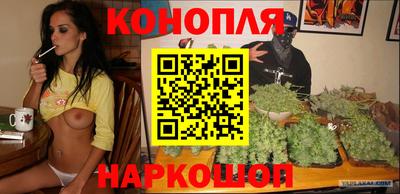 ПСИЛОЦИБИНОВЫЕ ГРИБЫ Новозыбков