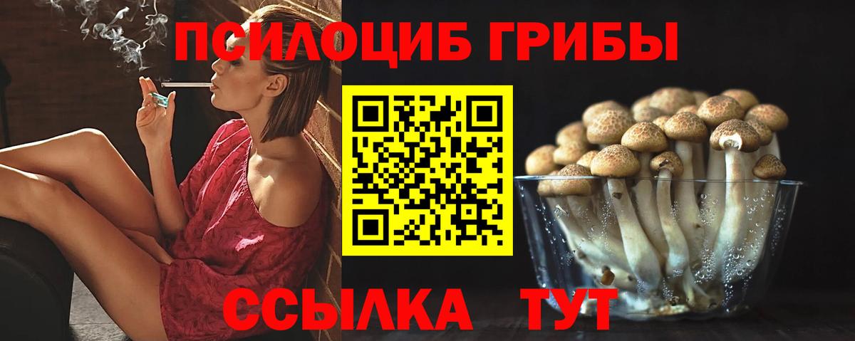 Псилоцибиновые грибы GOLDEN TEACHER  Вход с VPN  Чапаевск  Псилоцибиновые грибы Magic Shrooms 